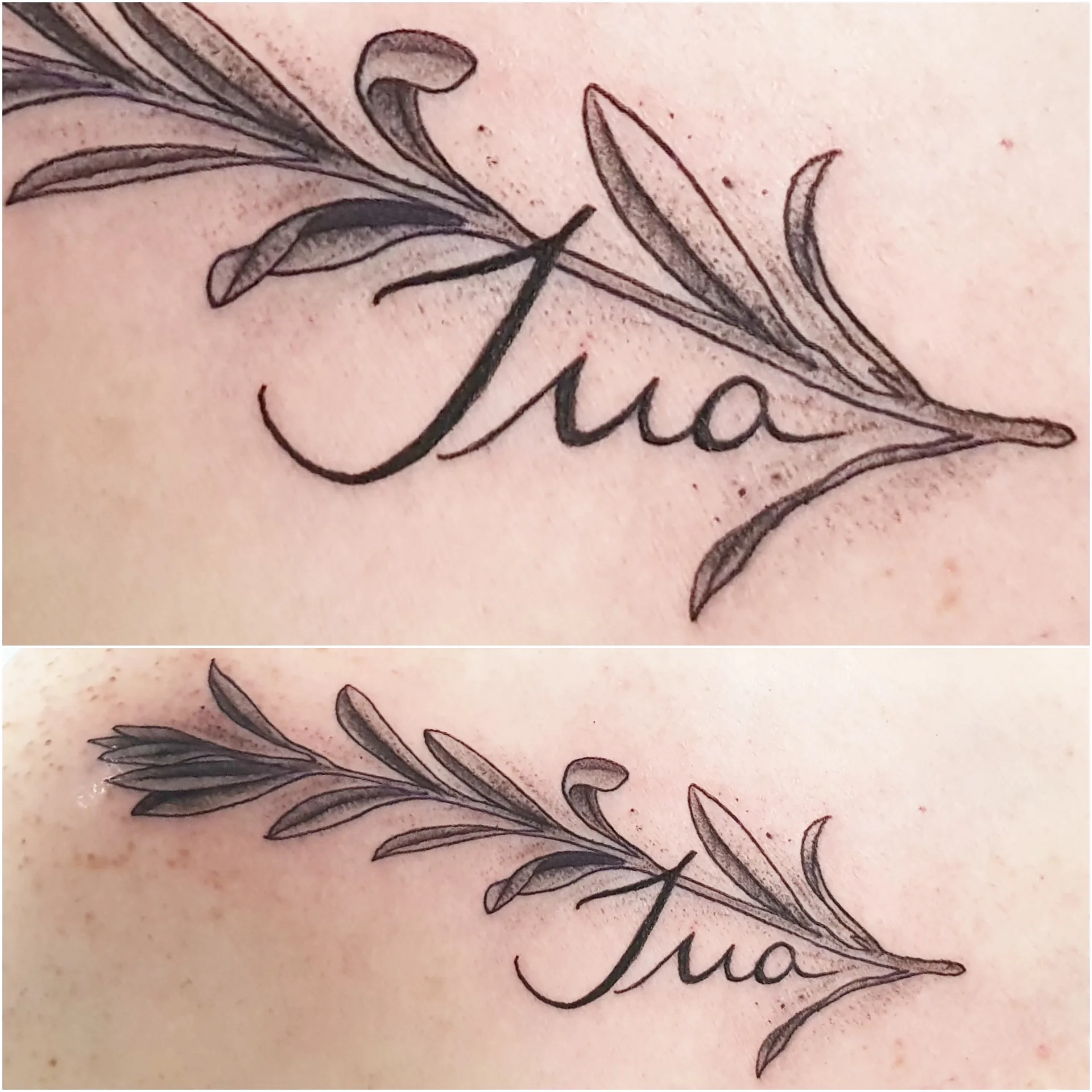 Brentano Tattoo & Galerie — Galerie 31