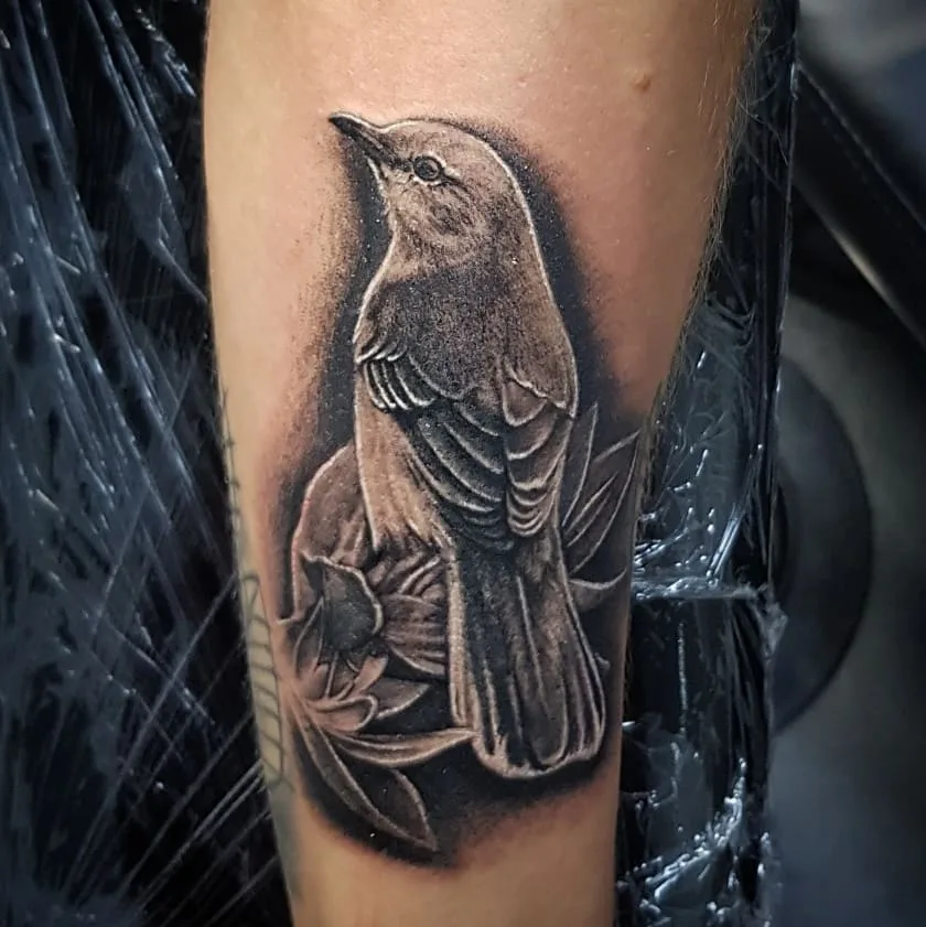 Brentano Tattoo & Galerie — Galerie 19